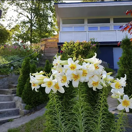 In Sued-waldhanglage Mit Seeblick By Interhome Holiday home *