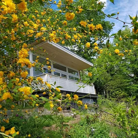 In Sued-waldhanglage Mit Seeblick By Interhome Holiday home