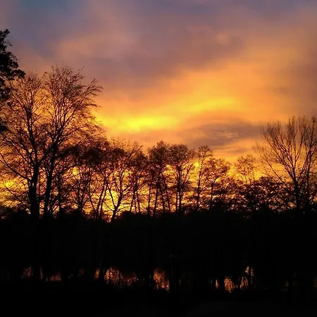 In Sued-waldhanglage Mit Seeblick By Interhome * Ferchesar