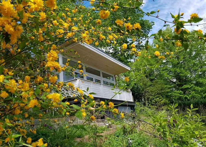 In Sued-waldhanglage Mit Seeblick By Interhome Holiday home