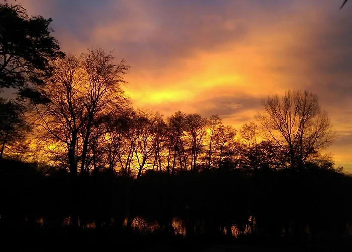 In Sued-waldhanglage Mit Seeblick By Interhome * Ferchesar